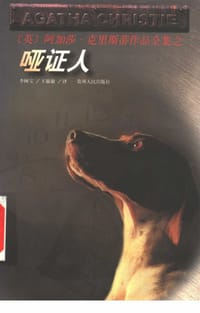 书籍 哑证人的封面