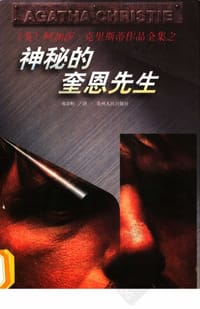 书籍 神秘的奎恩先生的封面