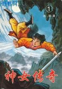 书籍 神女传奇的封面