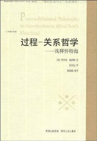书籍 过程-关系哲学的封面