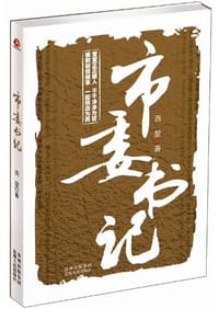 书籍 市委书记的封面