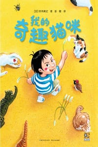 我的奇趣猫咪