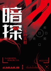 暗探：失落的真相 - 路晓