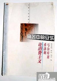 书籍 痛苦中的安乐的封面