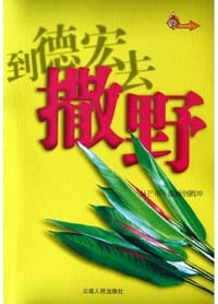 到德宏去撒野