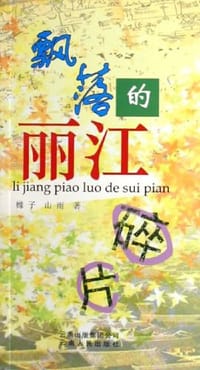 飘落的丽江碎片