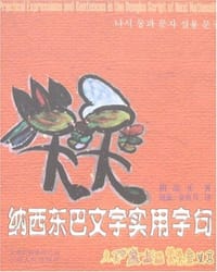 书籍 纳西东巴文字实用字句的封面