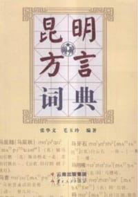 书籍 昆明方言词典的封面