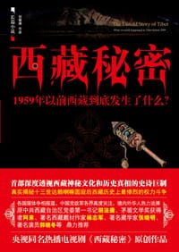 西藏秘密 - 刘德濒
