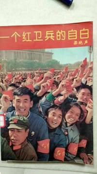书籍 一个红卫兵的自白的封面