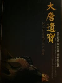 书籍 大唐遗宝的封面