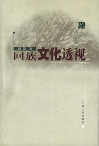 书籍 回族文化透视的封面