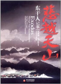 书籍 悲越天山的封面