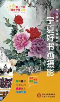 书籍 宁夏好书画摄影的封面