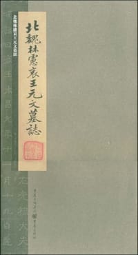 北魏林虑哀王元文墓志