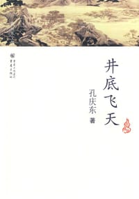 书籍 井底飞天的封面