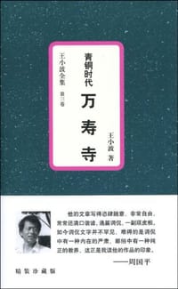青铜时代·万寿寺 - 王小波