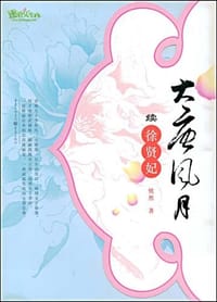 书籍 大唐风月续徐贤妃的封面