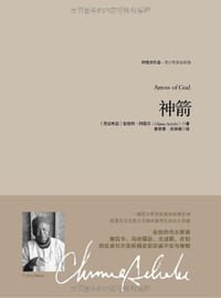 书籍 神箭的封面