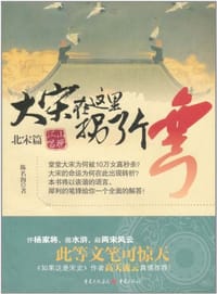 书籍 大宋在这里拐了个弯的封面