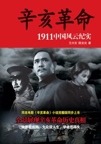 辛亥革命 - 王兴东