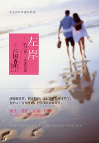 书籍 左岸的封面