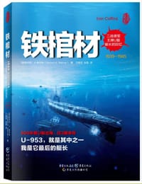 书籍 铁棺材的封面