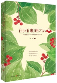 书籍 在我们相遇之后的封面