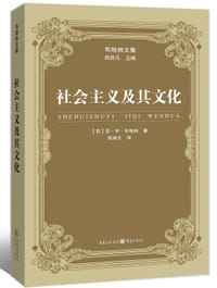 书籍 社会主义及其文化的封面