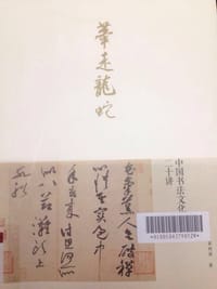 笔走龙蛇 - 无名图书