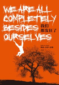 书籍 我们都发狂了的封面