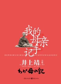 书籍 我的母亲手记的封面