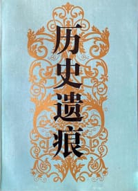 书籍 历史遗痕的封面