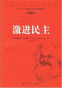 书籍 激进民主的封面