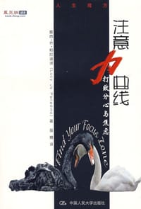 注意力曲线 - 露西·乔·帕拉迪诺
