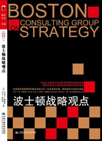 波士顿战略观点 - 卡尔·斯特恩