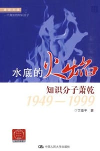 书籍 水底的火焰的封面