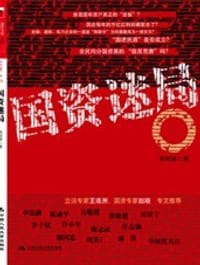 国资迷局 - 吴刚梁