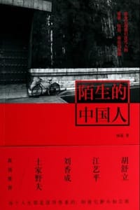 陌生的中国人 - 杨猛
