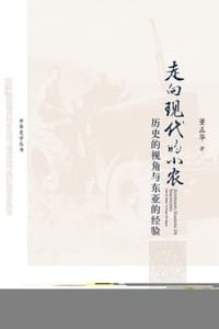 走向现代的小农三农