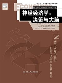 神经经济学 - 保罗·W·格莱姆齐