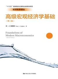高级宏观经济学基础（第二版）