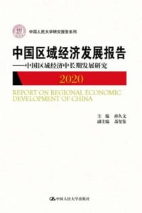 中国区域经济发展报告（2020）中国区域经济中长期发展研究 - 孙久文