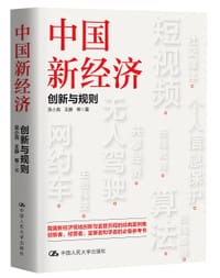 书籍 中国新经济的封面