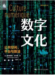 数字文化 - [法] 多米尼克·卡尔东