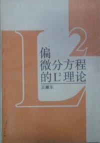 书籍 偏微分方程的L^2理论的封面