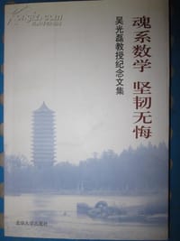 魂系数学 坚韧无悔（吴光磊）