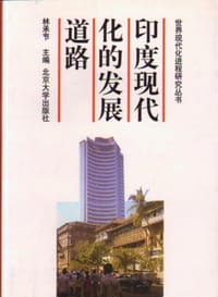 书籍 印度现代化的发展道路的封面