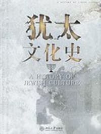 书籍 犹太文化史的封面