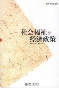 社会福祉与经济政策